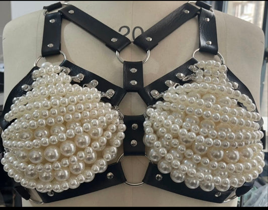 LEATHER HARNESSES 2.O