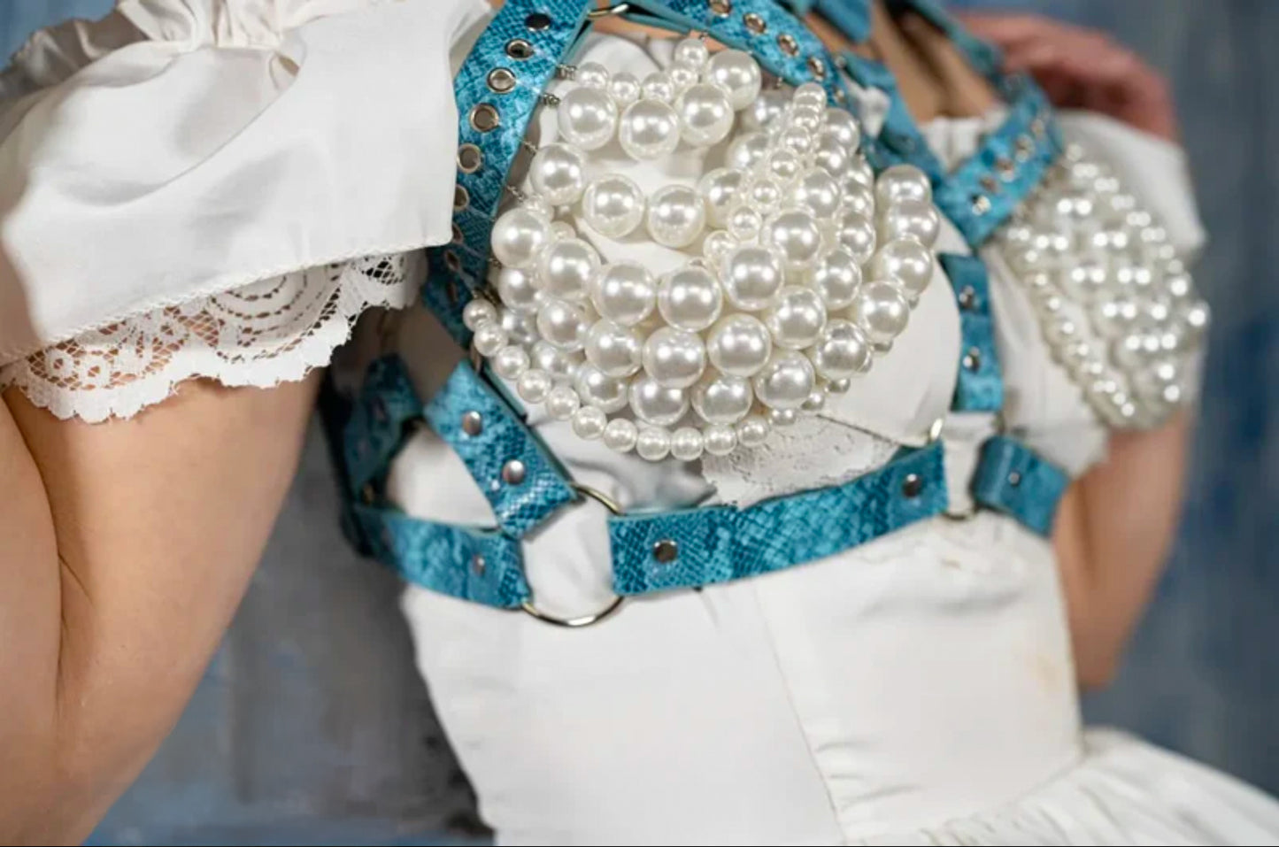 HARNESSES 1.O